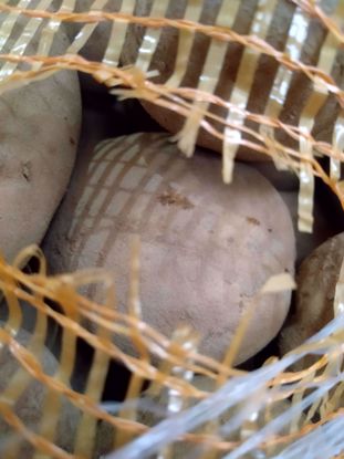 Picture of BATATA CONSERVA AGRIA ORIG PT CAL N/C CAT II KG