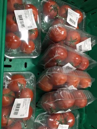Picture of TOMATE CACHO ORIG PT CAT II CVT EMBAL.
