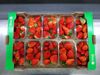 Picture of MORANGO ORIG PT I CAL 25MM 500 GR